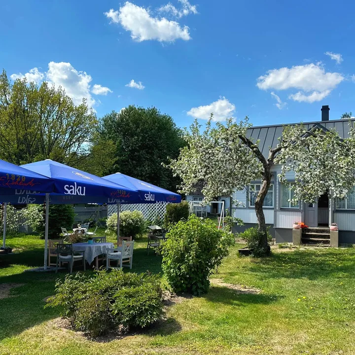 Meidi’s courtyard with a blossoming tree, garden tables and a wooden house