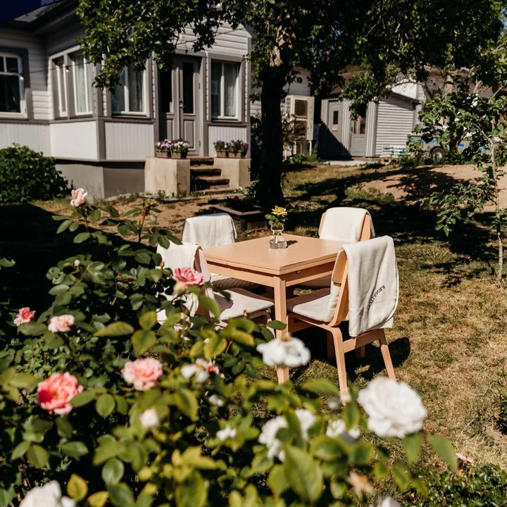 A garden table among roses in Meidi’s courtyard